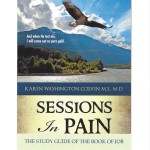 SESSION IN PAIN STUDY GUIDE COVER